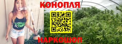 СК Боровичи