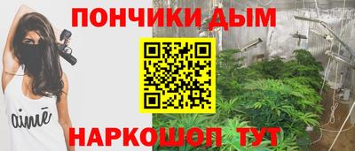 СК Боровичи