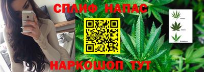 не бодяженный Братск