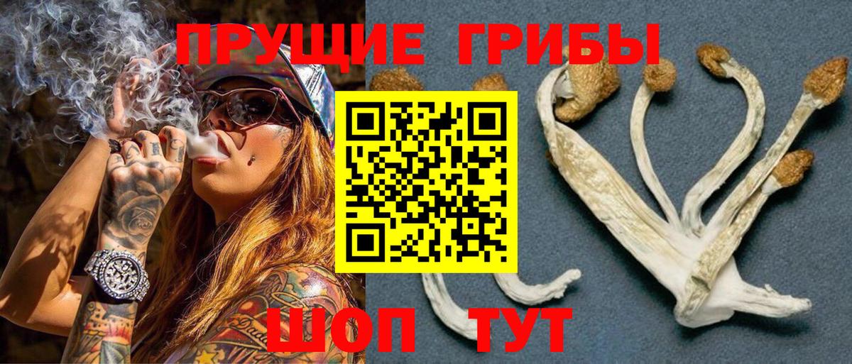 Псилоцибиновые грибы Psilocybine cubensis  Вход с VPN  Балашов  Галлюциногенные грибы GOLDEN TEACHER 